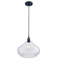 Светильник подвесной лофт ASHANTI 1256.1 Lucia Tucci прозрачный 1 лампа, основание чёрное в стиле лофт выдувное